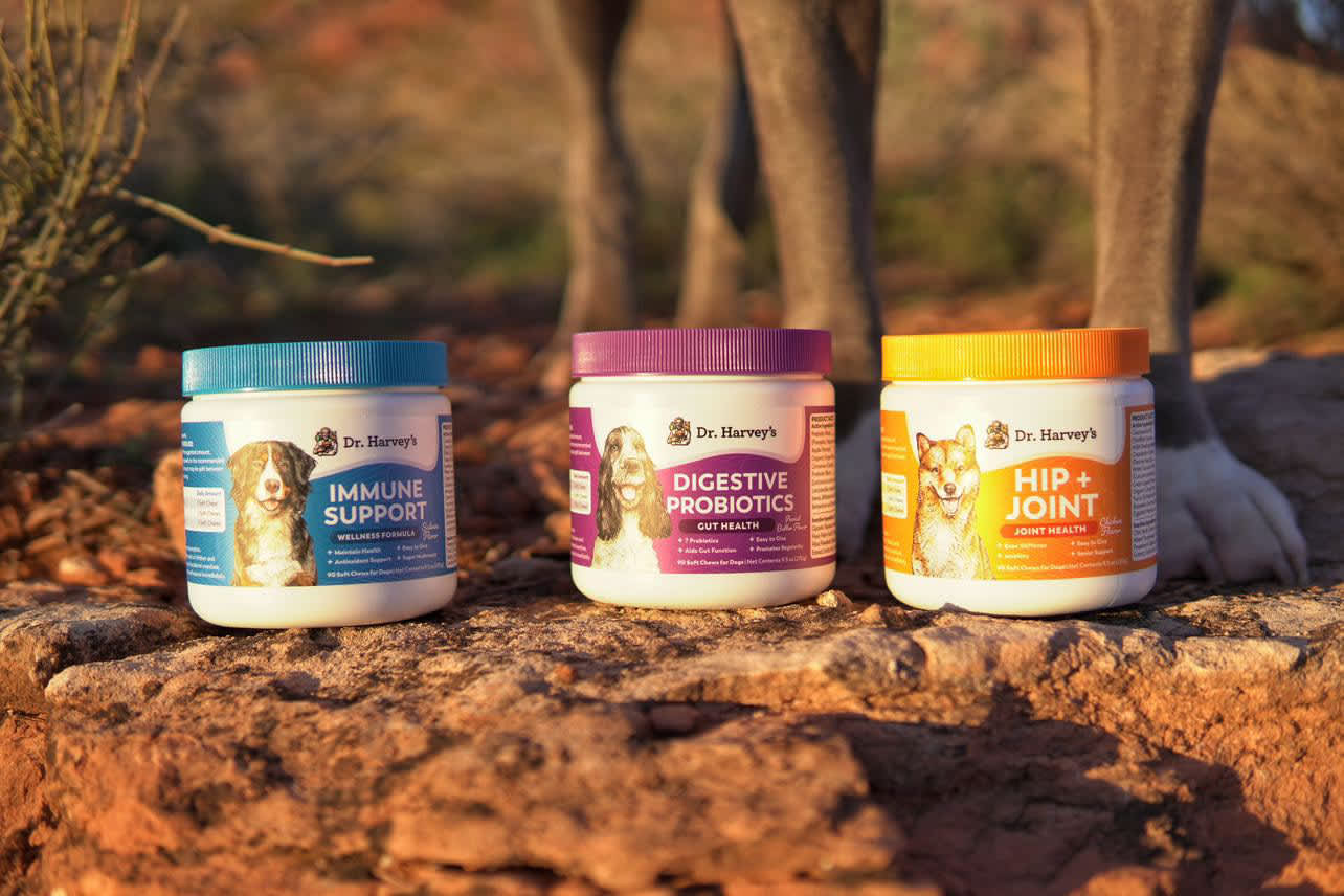 Keep Your Puppy's Digestive System Healthy with Dr. Harvey's Probiotic Soft Chews for Dogs