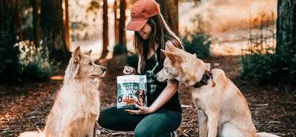 Road Trip with Dogs (Plus 10 Travel Safety Tips)