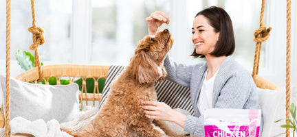 Dogs & Mental Health: 6 Benefits of Having a Dog