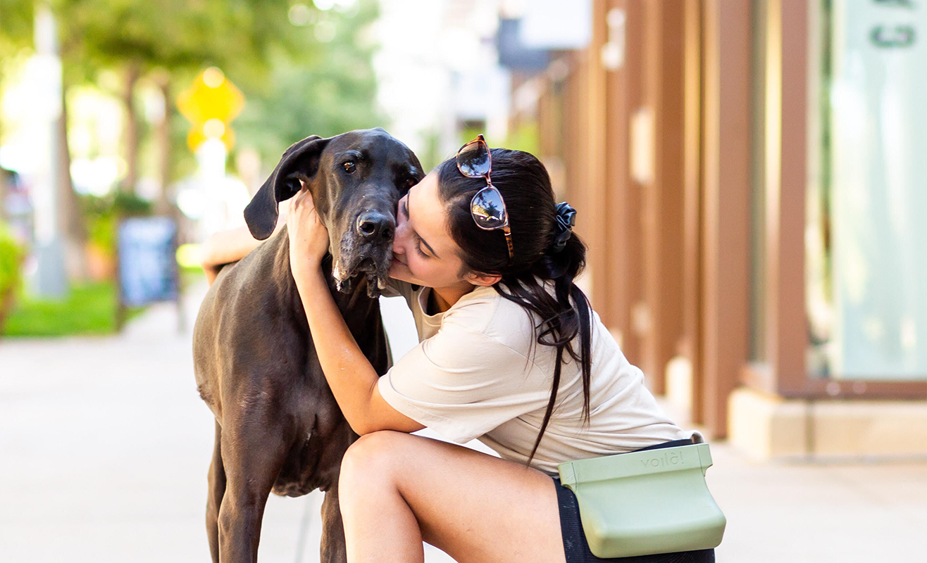 Keeping Dogs Safe in the Heat: Tips and Tricks for a Cool Summer