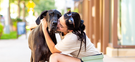 Keeping Dogs Safe in the Heat: Tips and Tricks for a Cool Summer
