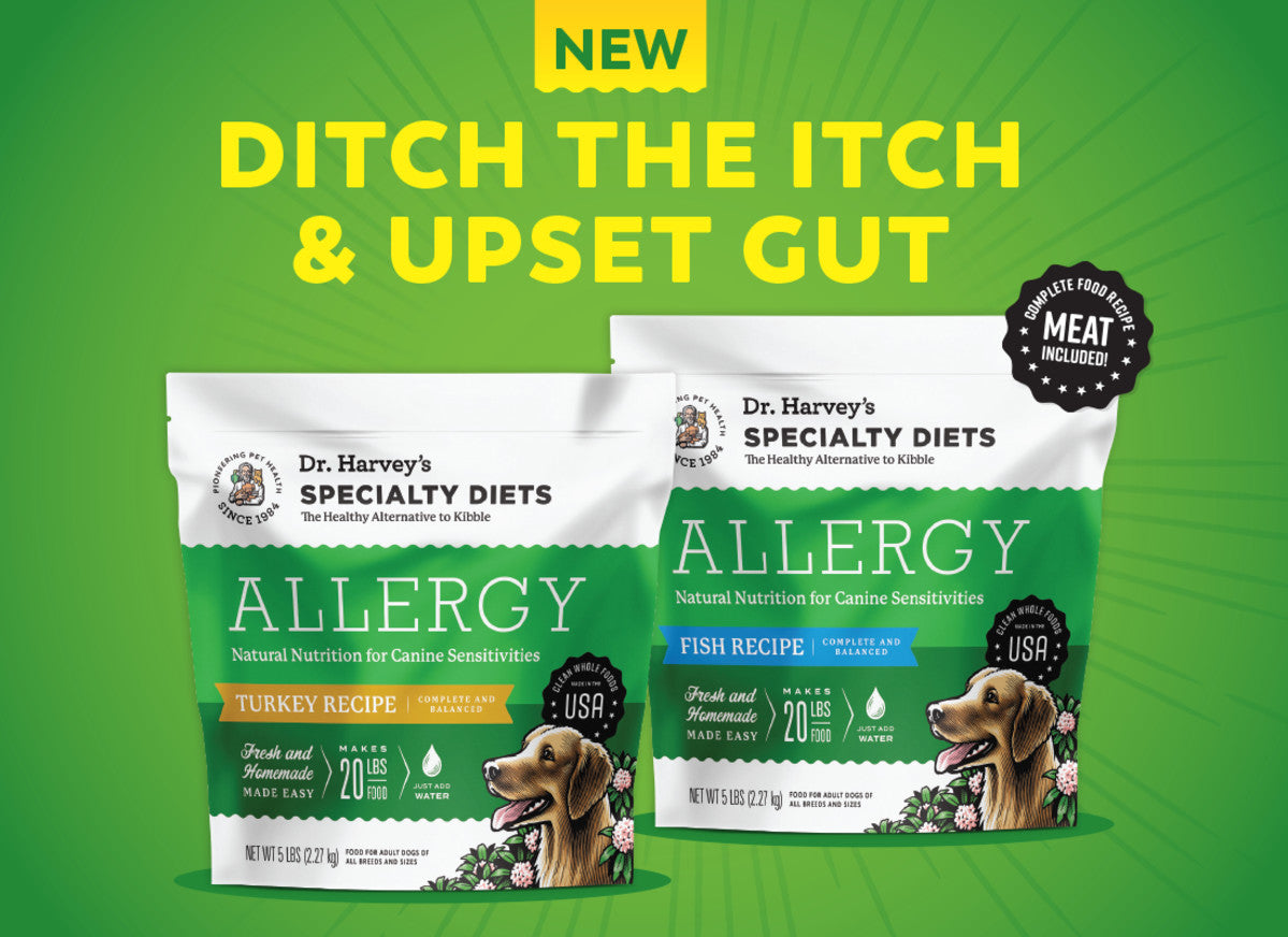 New Allergy food: the recipe dogs have been itching for