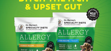 New Allergy food: the recipe dogs have been itching for