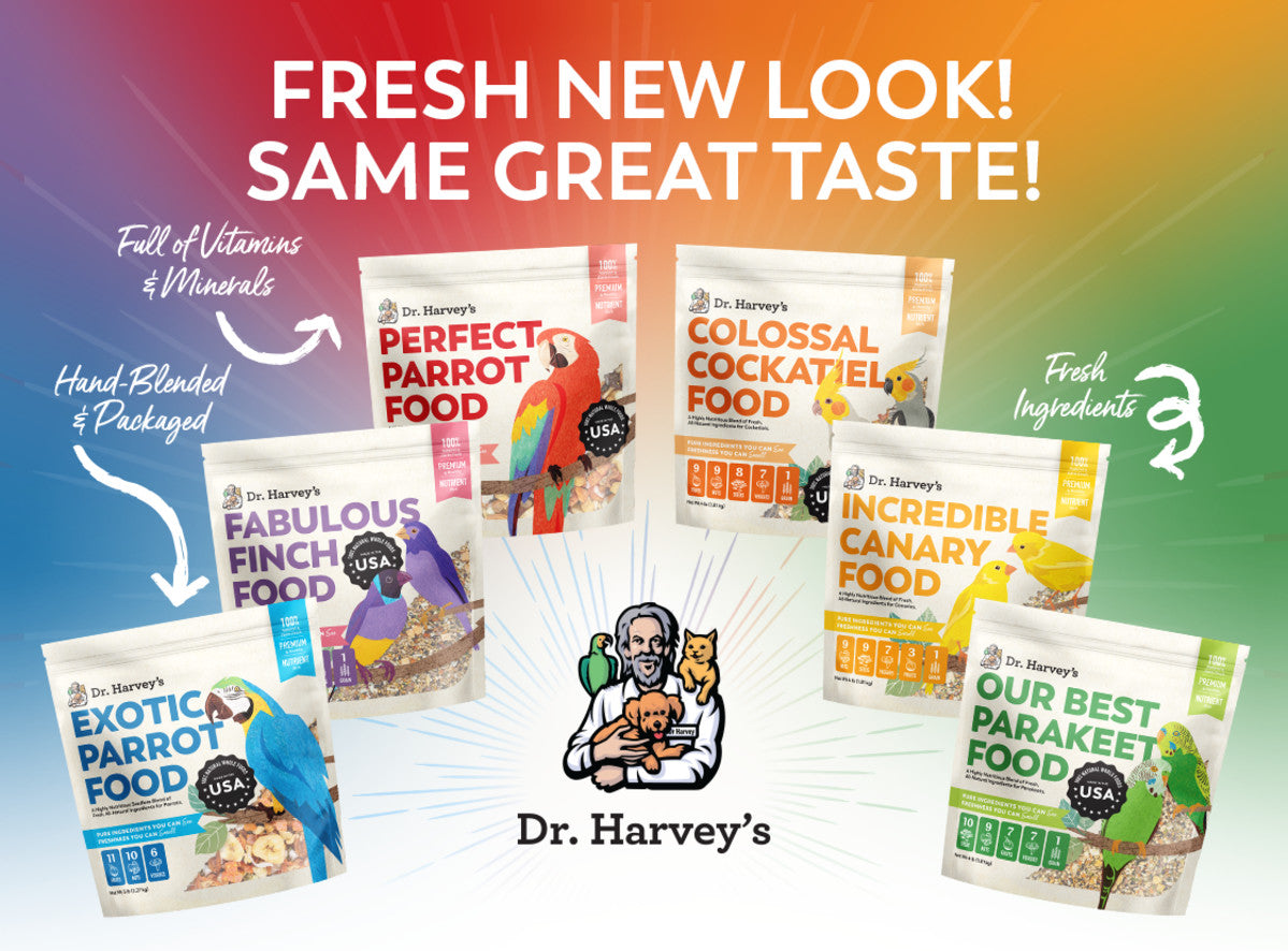 Our bird foods now look as good as they taste!