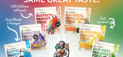 Our bird foods now look as good as they taste!