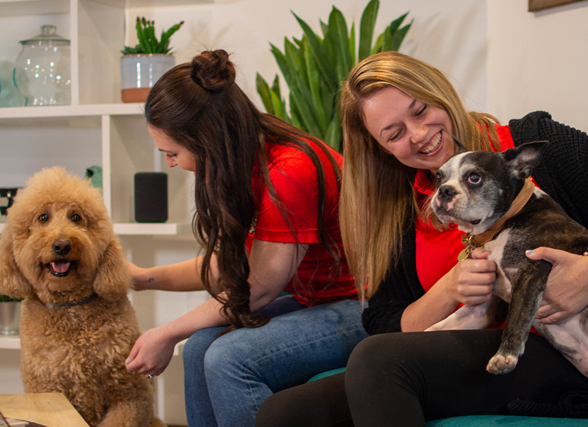 Our customer service team is here for you