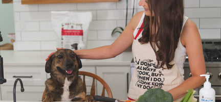 Fostering A Dog: How Each Of Us Can Make A Difference