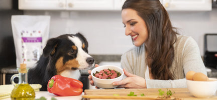 Embracing Health with Paradigm: A Superfood Boost for Your Dog
