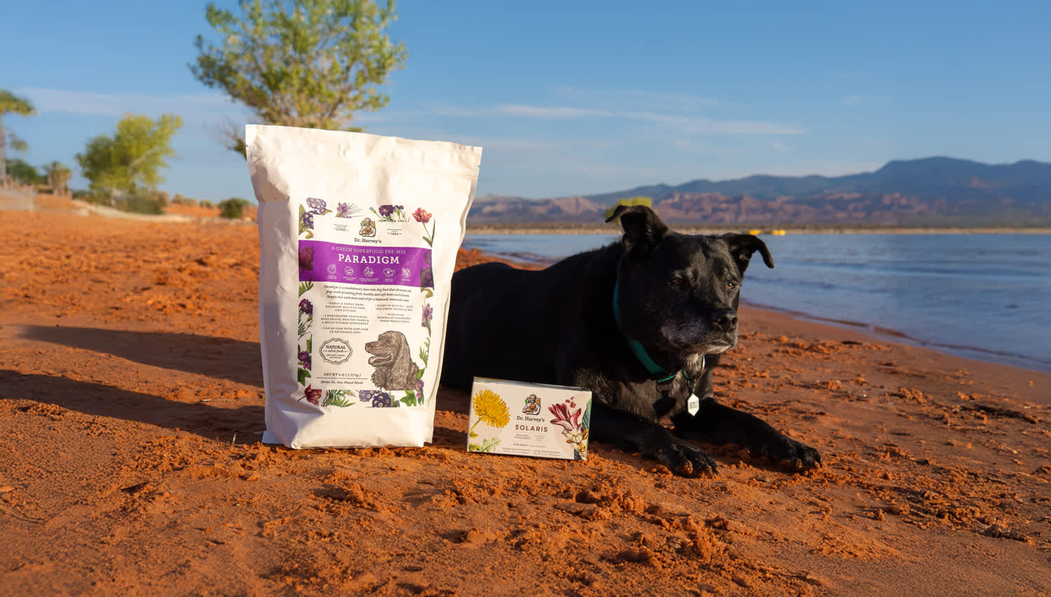 Boosting Your Senior Dog’s Health with Dr. Harvey’s Supplements