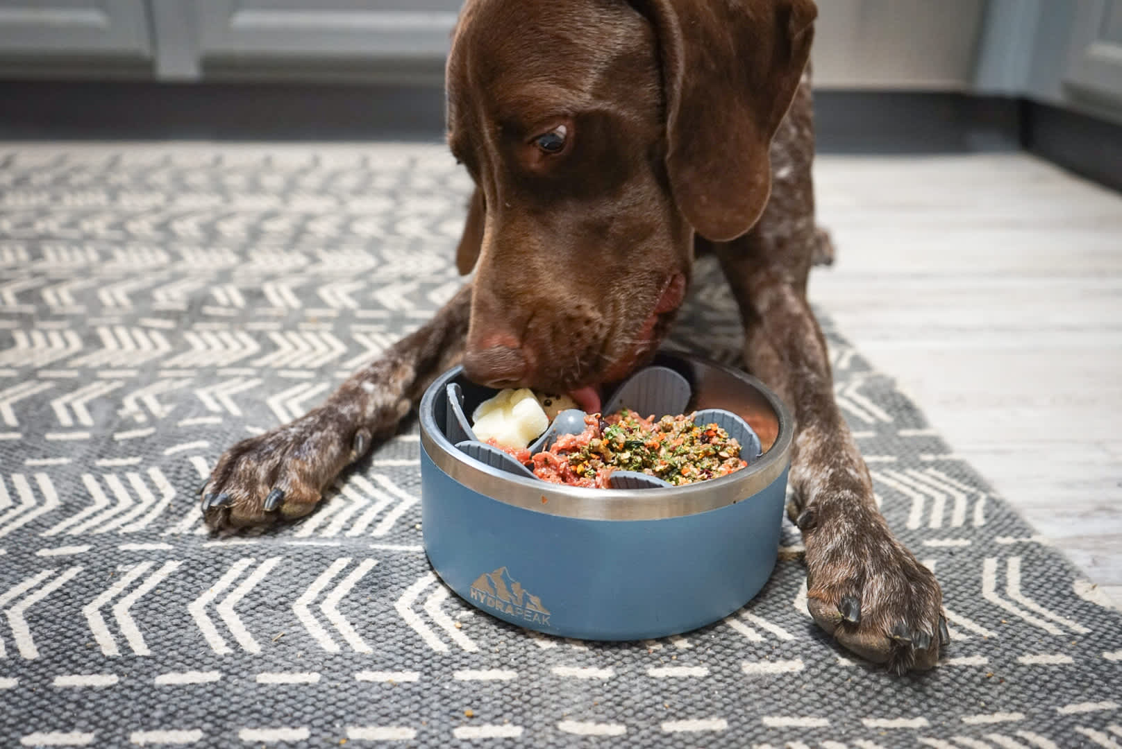 Can Dogs Eat Garlic? Discover the Truth & Benefits