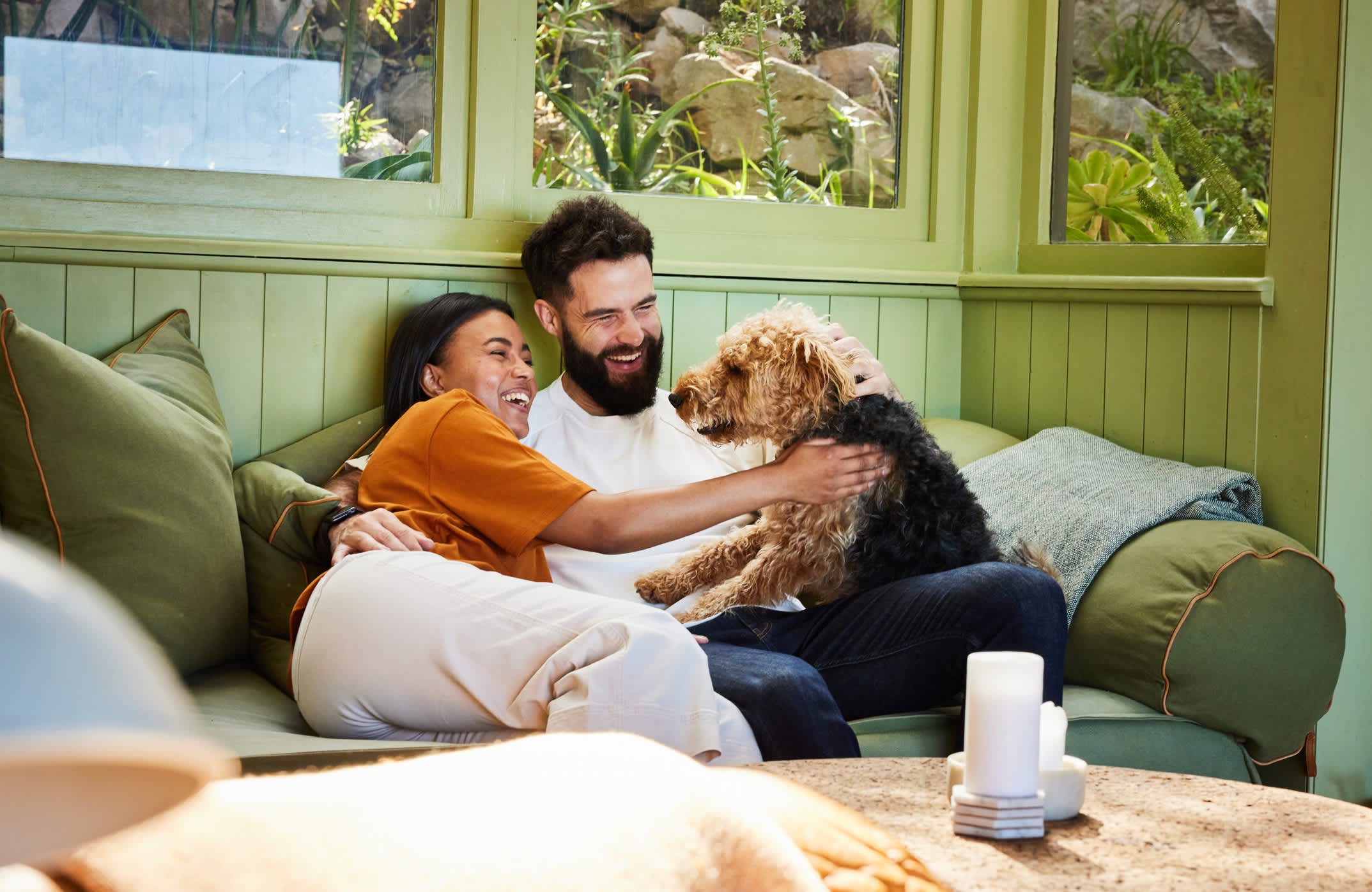 What Is Holistic Dog Food & Is It Good for Your Dog?
