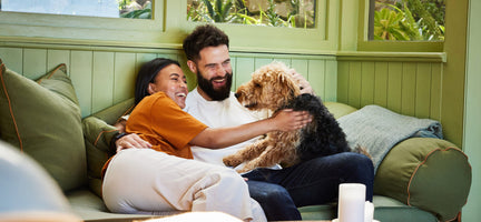 What Is Holistic Dog Food & Is It Good for Your Dog?