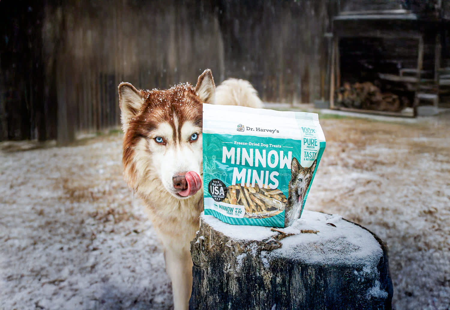 Introducing Dr. Harvey's Minnow Minis: The Perfect Guilt- Free Treat for Your Canine Companion