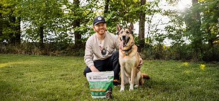 Strengthen Your Pack: How Mealtime Builds Connection & Confidence