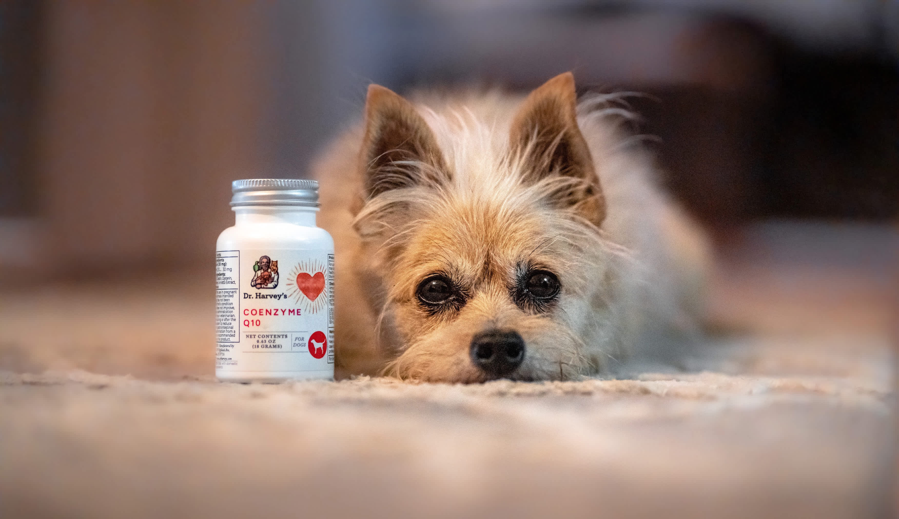 The NASC Seal: Our Commitment To You & Your Pets