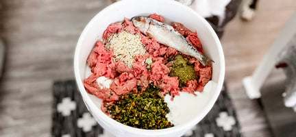 Raw Food Diet For Dogs: Supercharge Your Dog's Nutrition