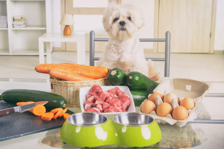 11 Benefits of Homemade Dog Food for Your Best Friend
