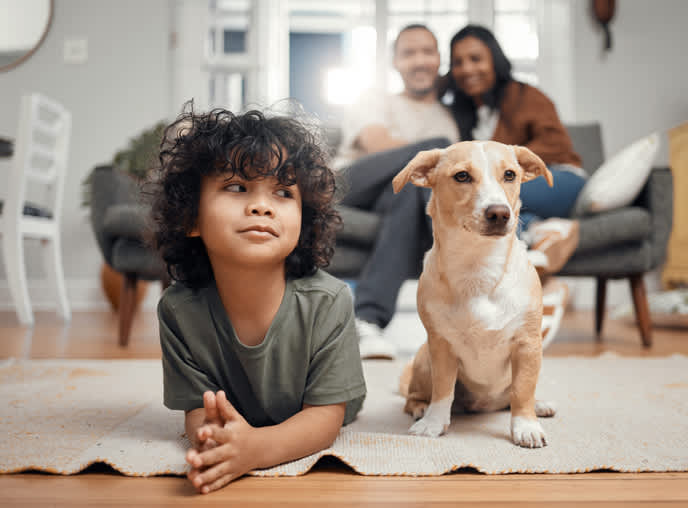 What Human Foods Can Dogs Eat (& What To Avoid)