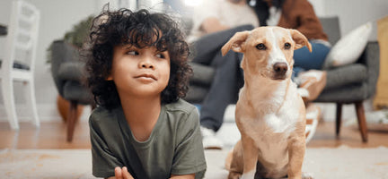 What Human Foods Can Dogs Eat (& What To Avoid)