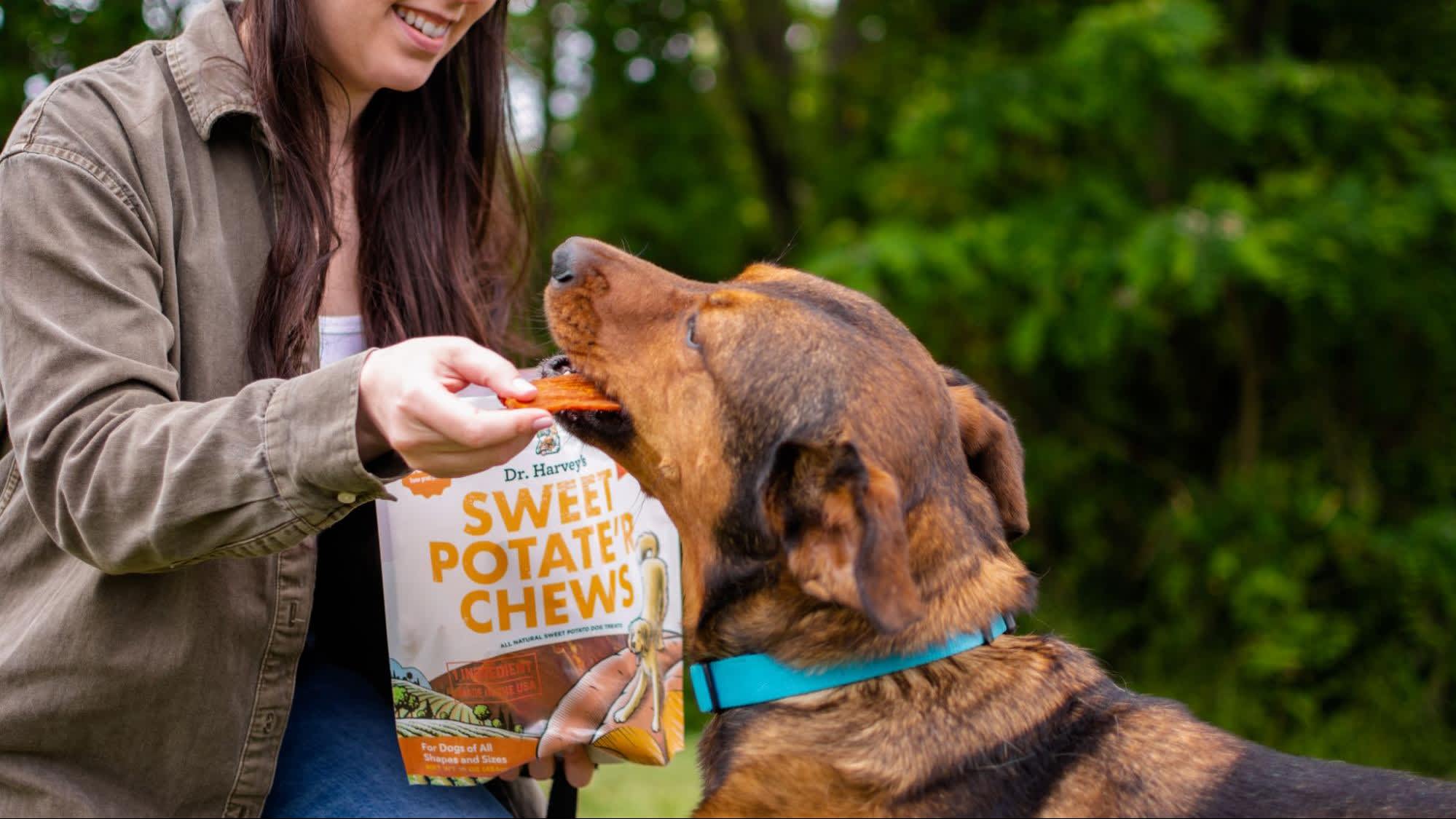 Chewing on the Truth: Is Kibble Really Essential for Dental Health?