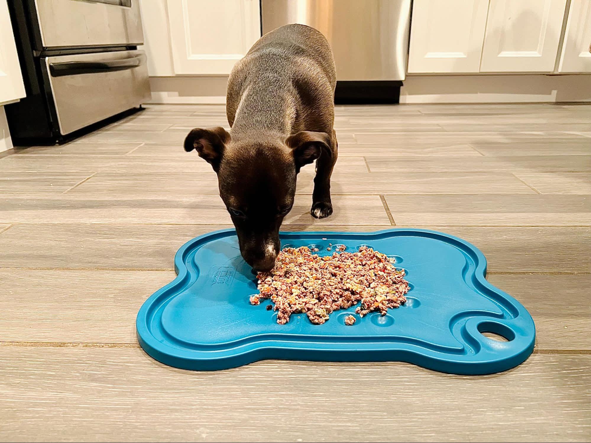 Mine Pet Platter: A Smarter Way to Feed Dogs
