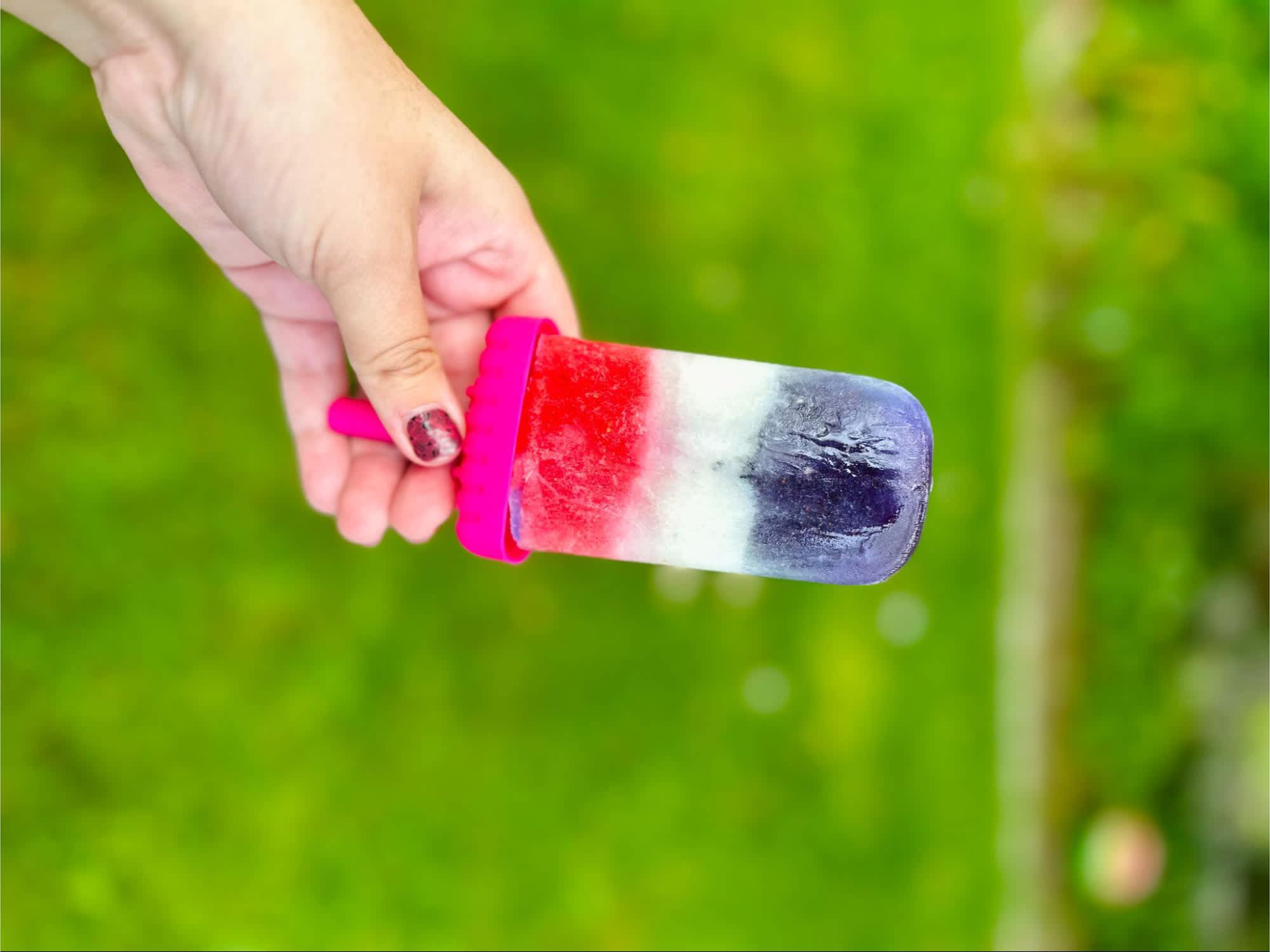 Fourth Of July Dog Ice Pop Recipe