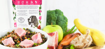 Unlocking the Benefits: A Guide to Raw Diets for Dogs