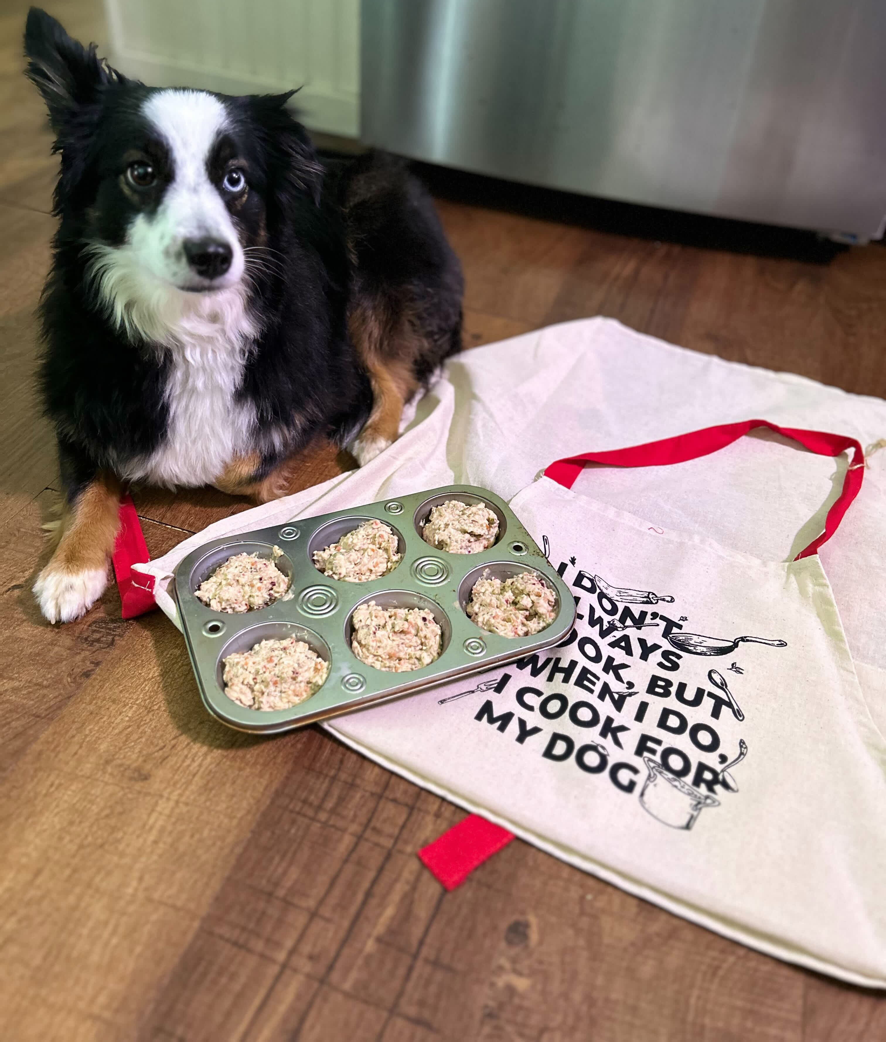 Spring Delights: Wholesome No-Bake Dog Treat
