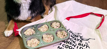 Spring Delights: Wholesome No-Bake Dog Treat