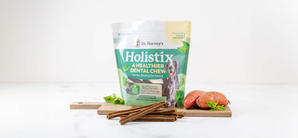Meet Holistix: A Healthier Dental Chew for the Mindful Pet Parent