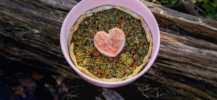 A Bowl of Love: Nourish Your Pup with Care