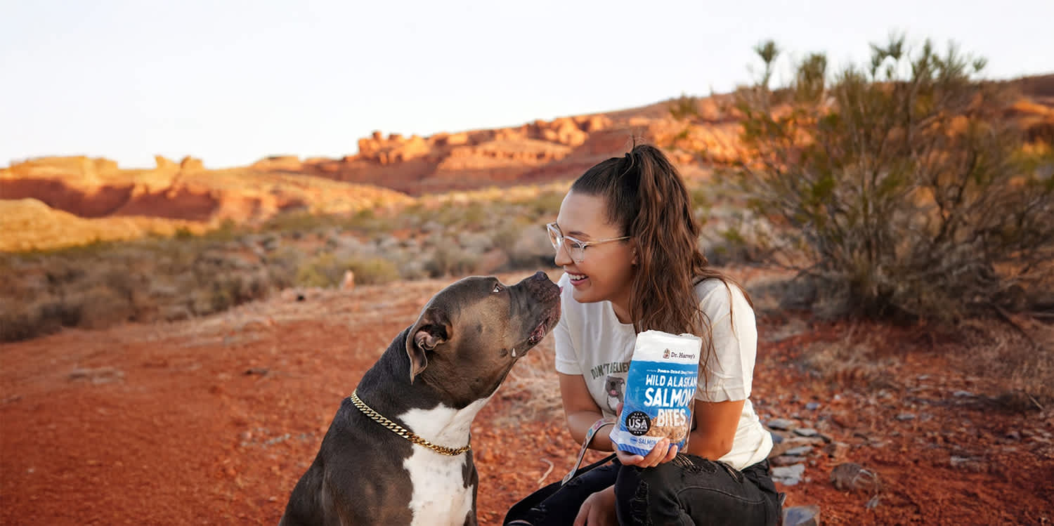 The Dr. Harvey’s Difference: Premium Treats Made Simple
