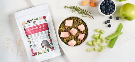 Unleash the Ease of Raw Feeding with Dr. Harvey’s