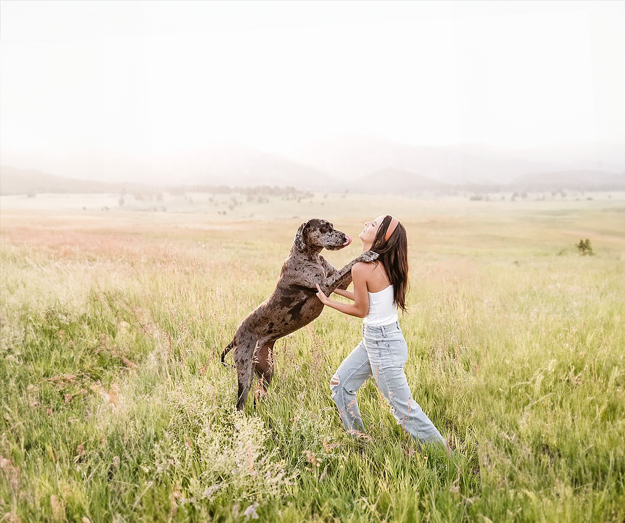 Treat Time Reimagined: Fun Ways to Engage and Reward Your Dog