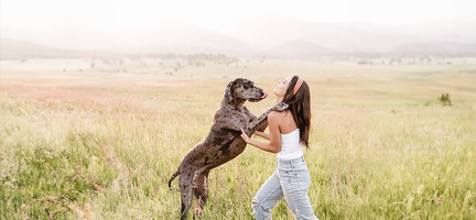 Treat Time Reimagined: Fun Ways to Engage and Reward Your Dog