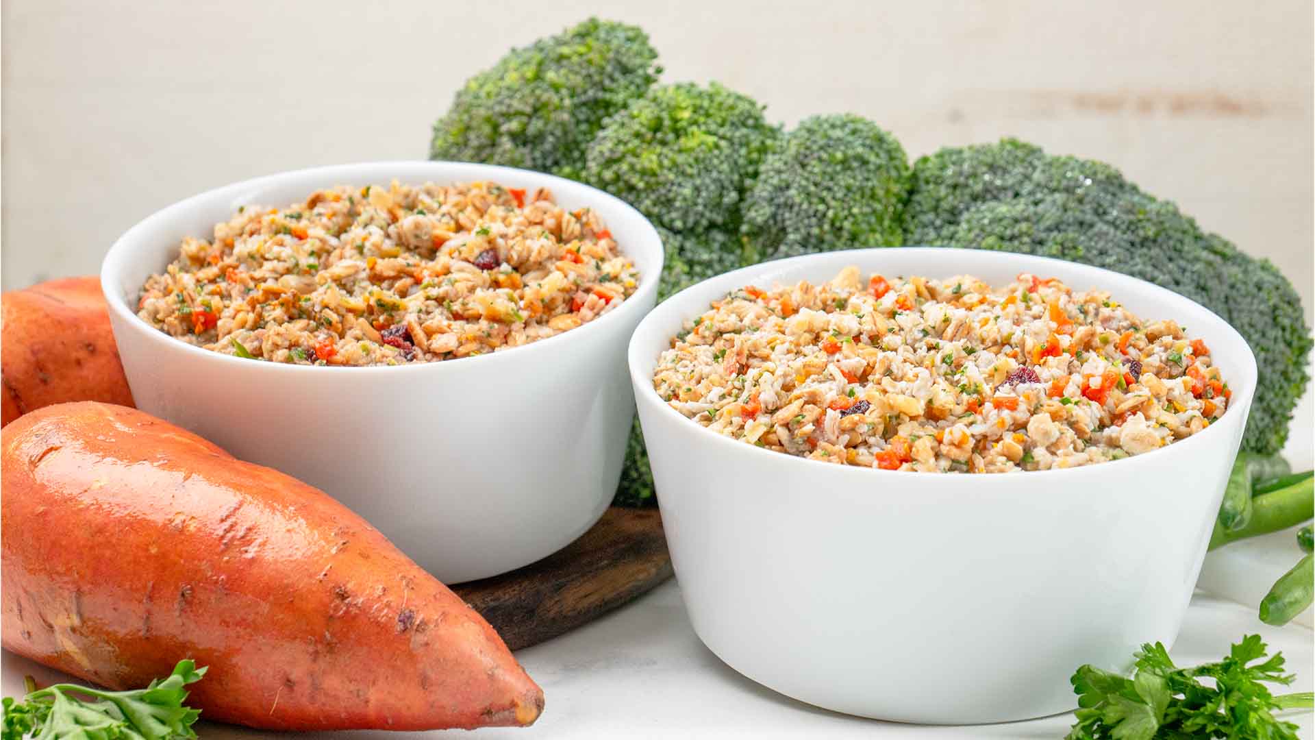Dehydrated Raw Dog Food