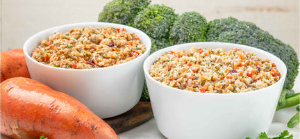 Dehydrated Raw Dog Food
