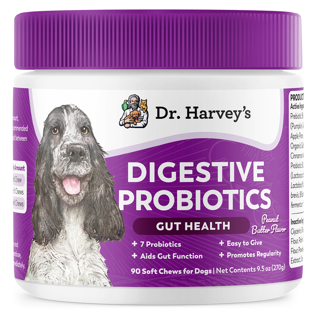 DRH_PRO_CHEW