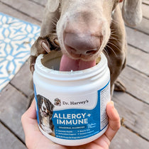 Allergy + Immune Support Soft Chews