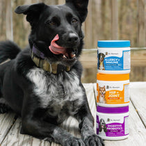 Allergy + Immune Support Soft Chews