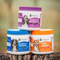 Allergy + Immune Support Soft Chews