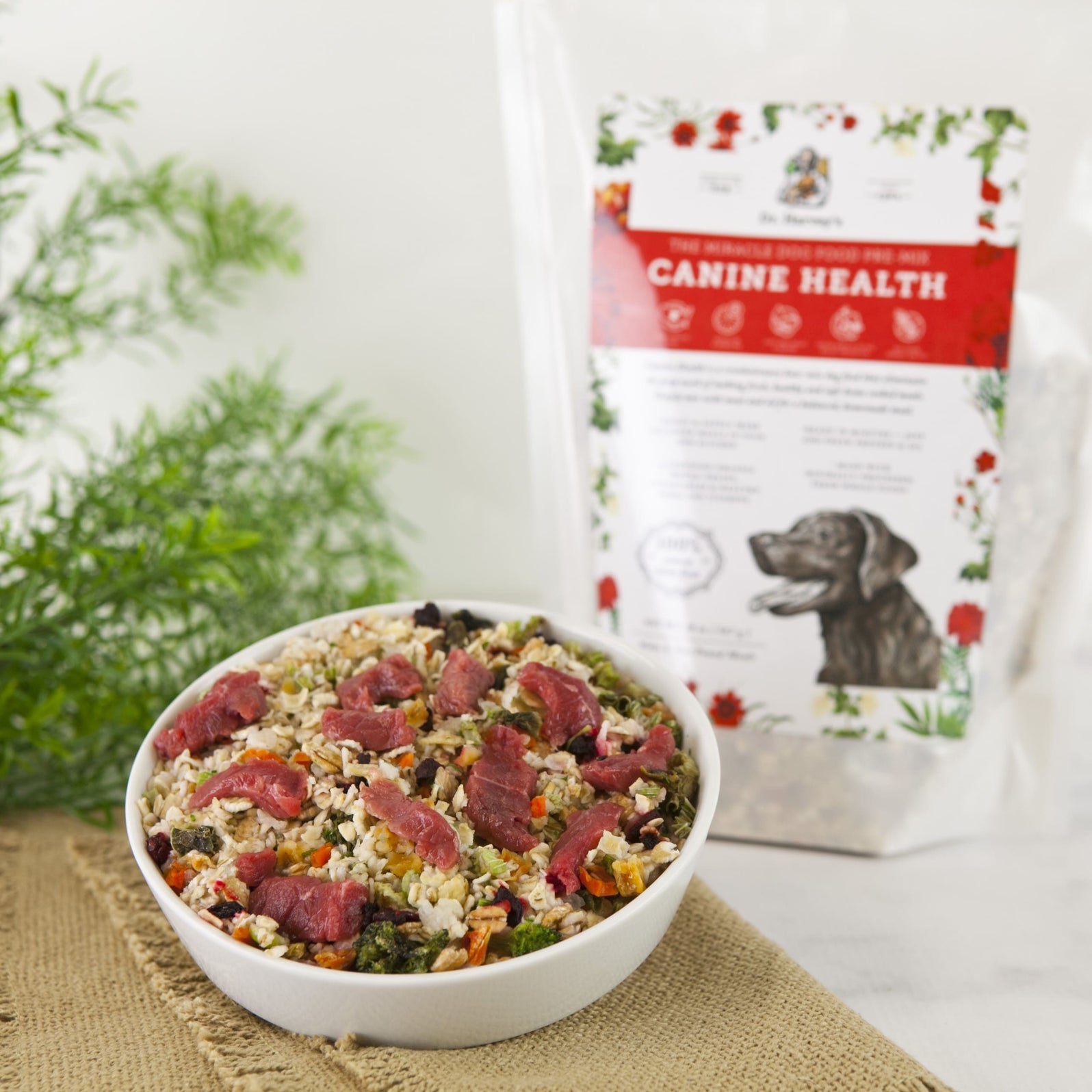 Canine Health