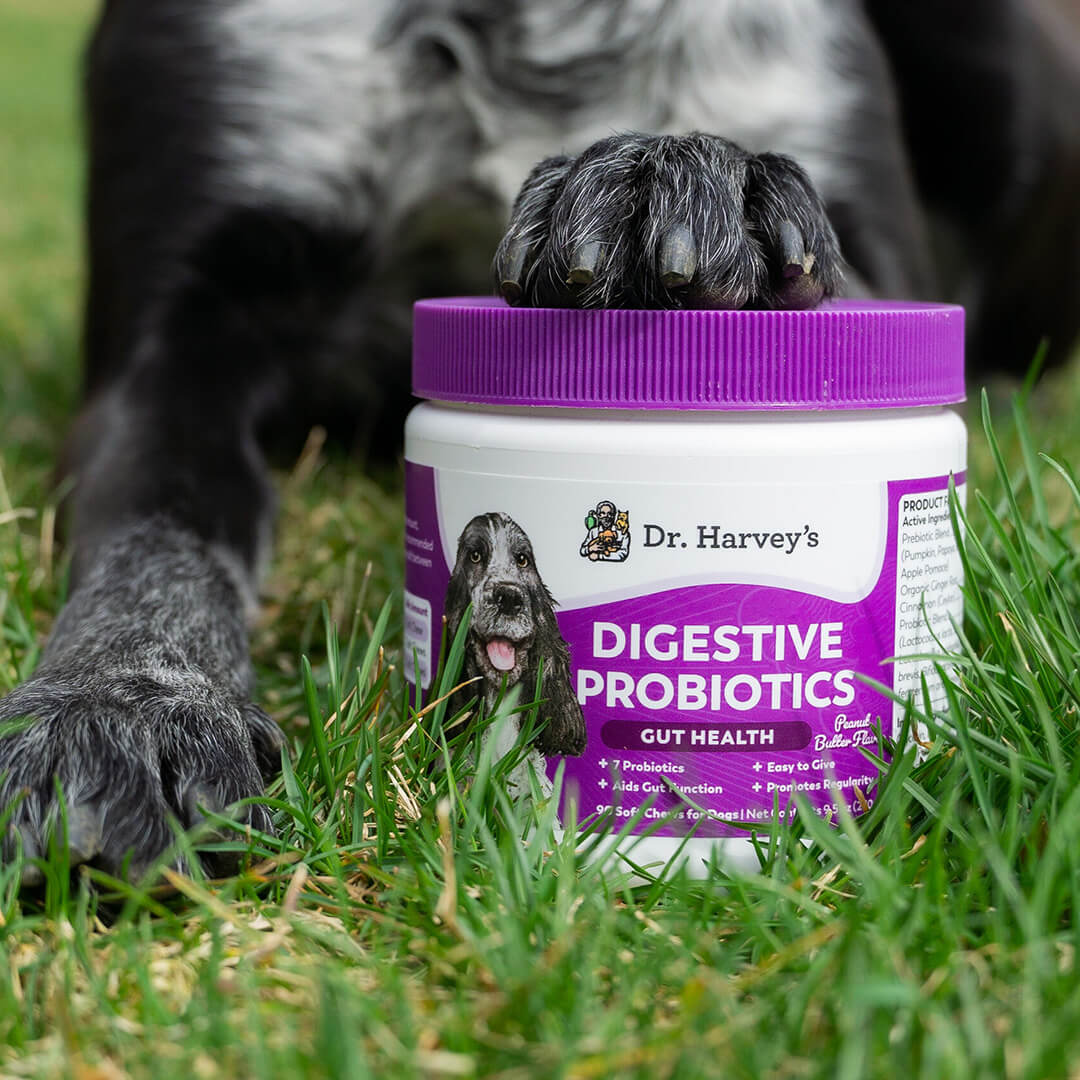 Digestive Probiotics Soft Chews