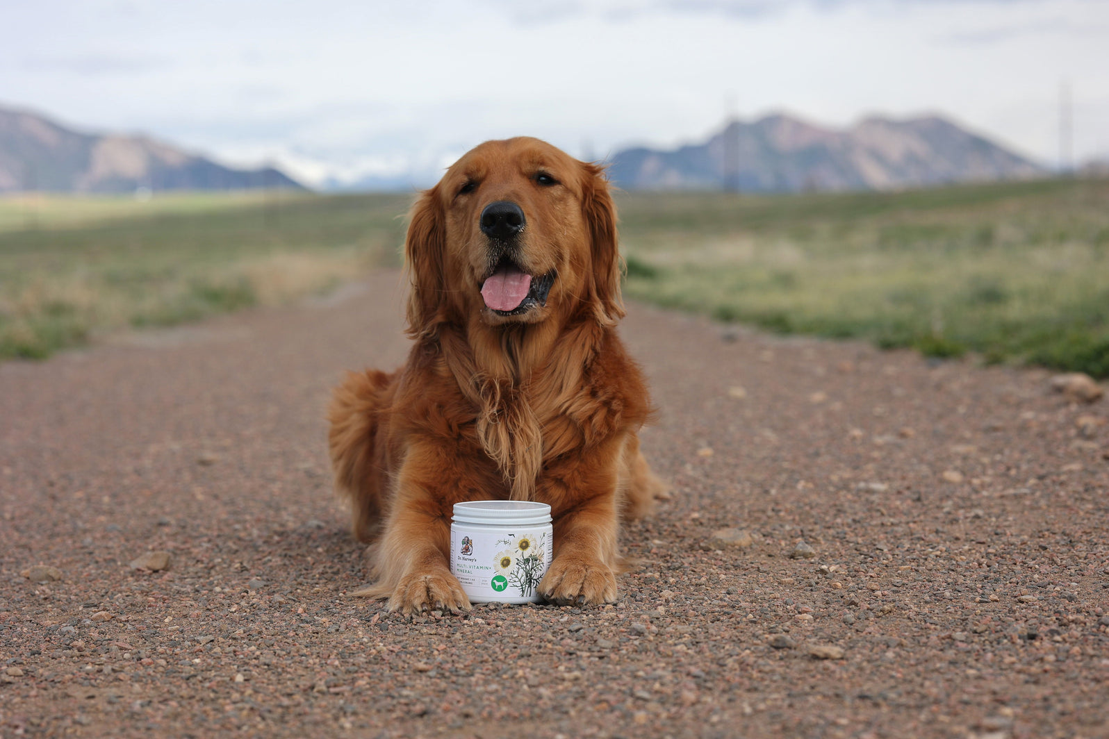Dog Multivitamin & Mineral Powder Supplement