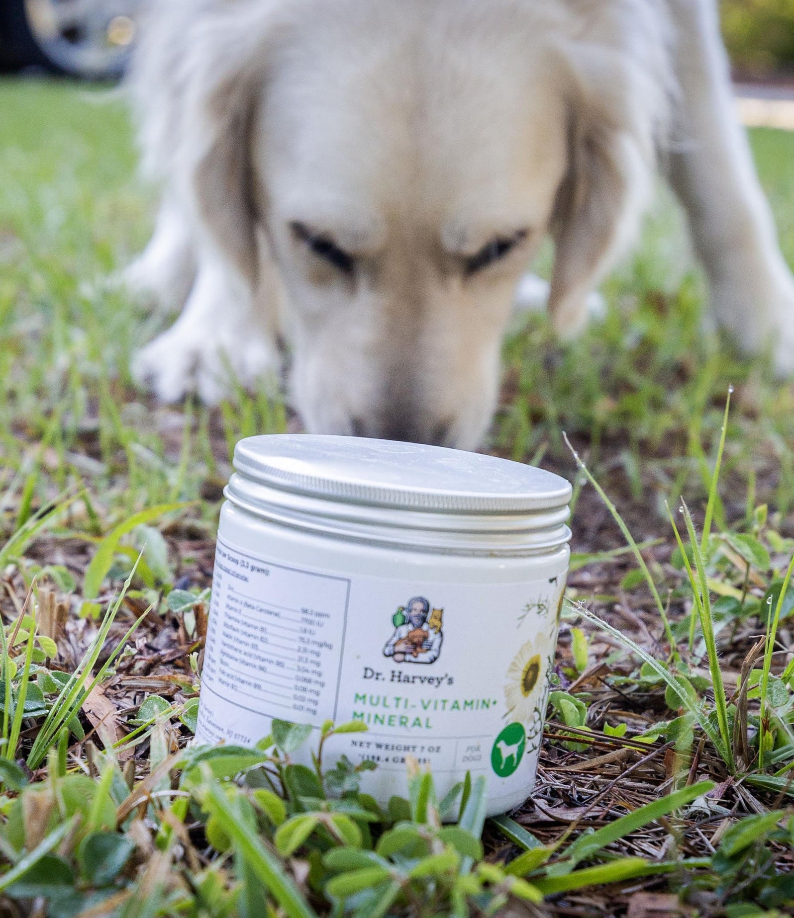 Dog standing in grass next to a container of Dog Multivitamin & Mineral Powder Supplement.