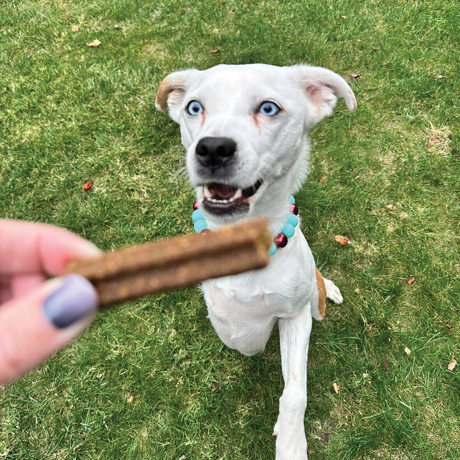 Holistix