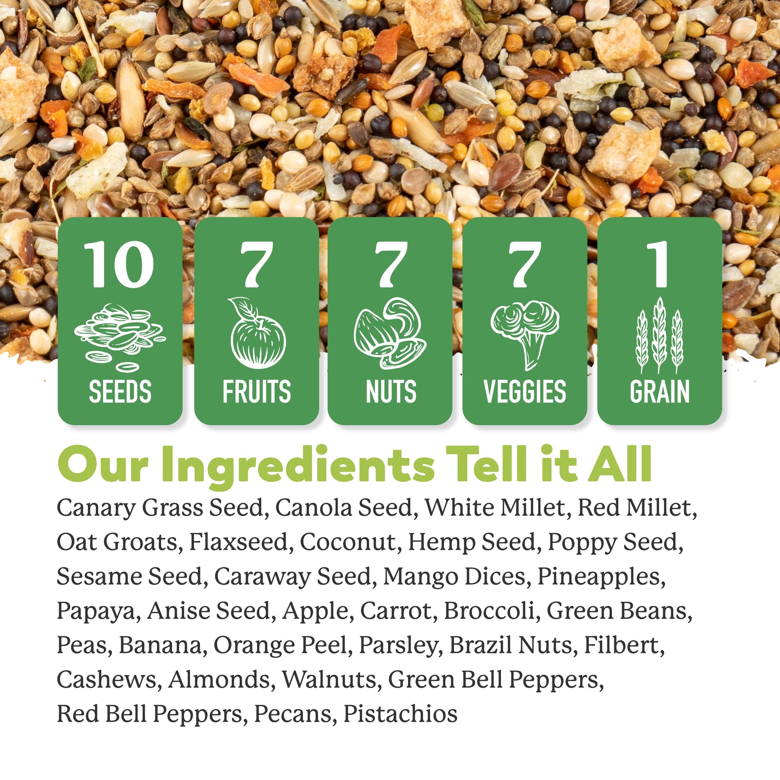 Our Best Parakeet Blend