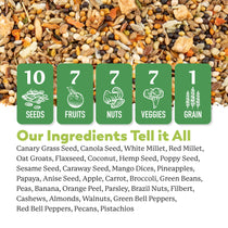 Our Best Parakeet Blend