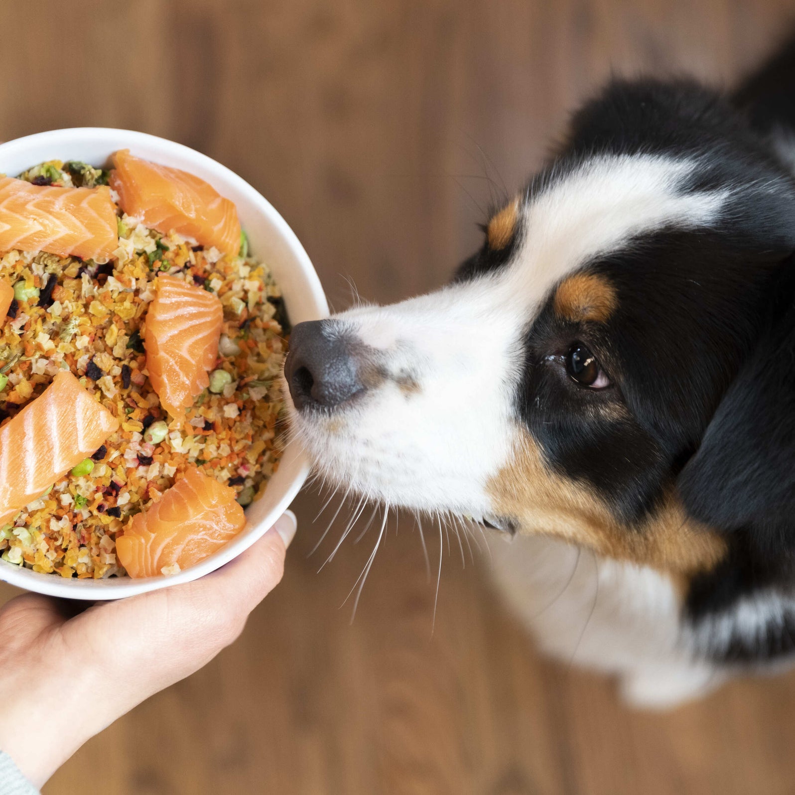 Veg-To-Bowl