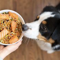 Veg-To-Bowl